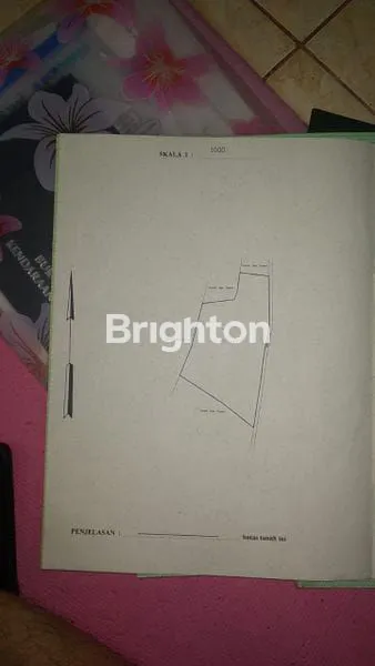 image LAHAN DURIAN LUAS 3432 METER MURAH 500RB/M SHM PASURUAN\NJUAL TANAH (4)