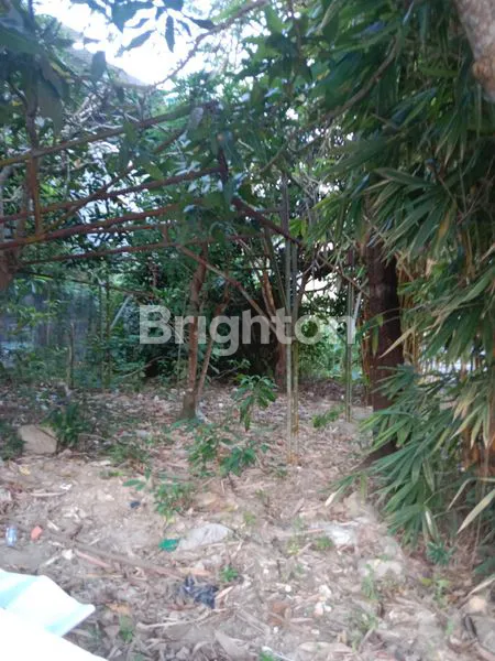 image TANAH KOMERSIAL SHM 242M² DI JL SYARIFUDDIN YOES (2)