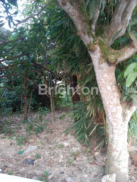 image TANAH KOMERSIAL SHM 242M² DI JL SYARIFUDDIN YOES (1)