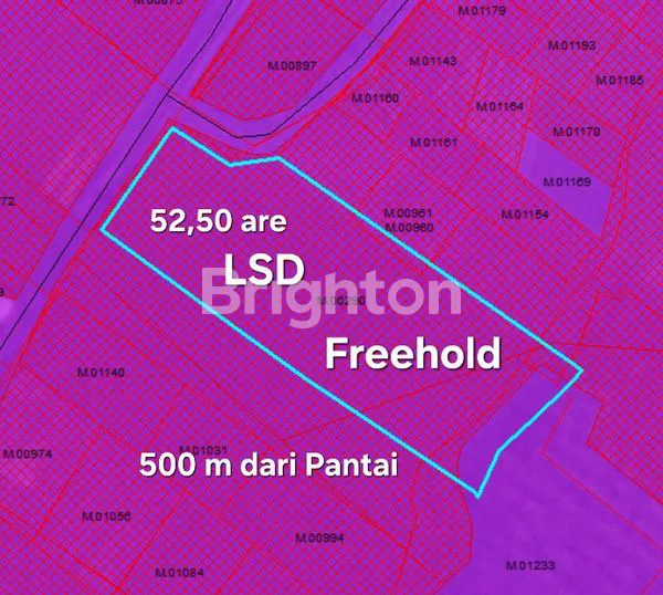 image TANAH DIJUAL 500 M DARI PANTAI DEKAT SOORI HOTEL TABANAN BALI (3)