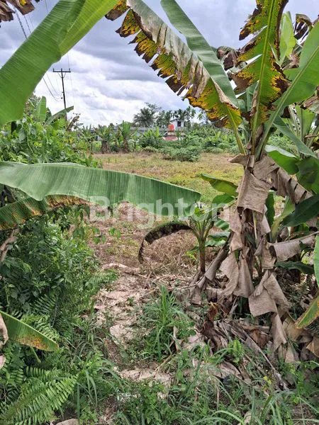 image INVESTASI TANAH 151 JUTA DI PEKANBARU (3)