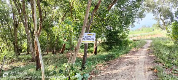 image KAVLING STRATEGIS 200M² TEPI PANTAI PANCER DORR PACITAN (3)