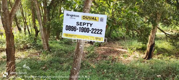 image KAVLING STRATEGIS 200M² TEPI PANTAI PANCER DORR PACITAN (4)