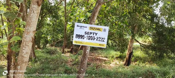 image KAVLING STRATEGIS 200M² TEPI PANTAI PANCER DORR PACITAN (5)