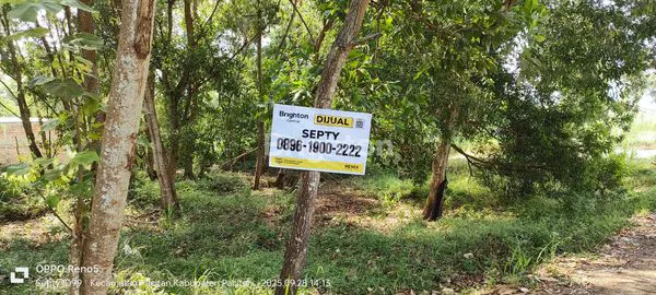 KAVLING STRATEGIS 200M² TEPI PANTAI PANCER DORR PACITAN