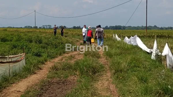 image TANAH INDUSTRI DI JUAL CEPAT DI SUBANG (1)