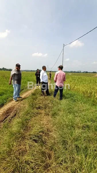 image TANAH INDUSTRI DI JUAL CEPAT DI SUBANG (2)