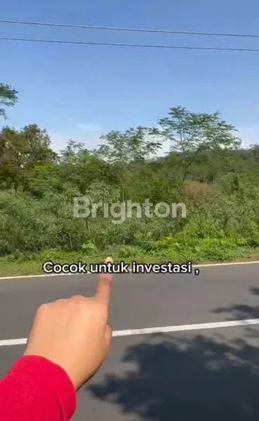 image INVESTASI TANAH BANDUNGAN, VIEW INDAH (1)