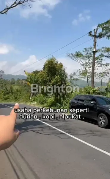 image INVESTASI TANAH BANDUNGAN, VIEW INDAH (4)