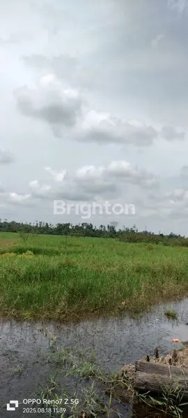 image TANAH KEBUN SAWIT DIJUAL CEPAT DAN MURAH (4)