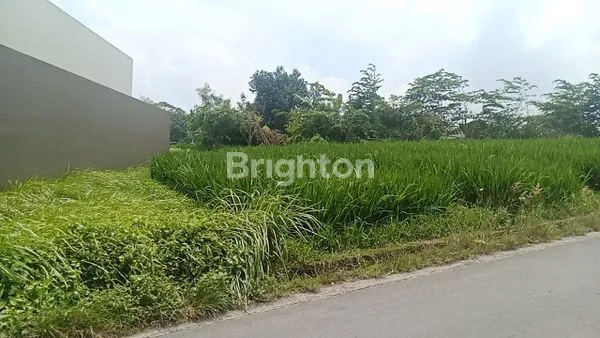 image LAHAN STRATEGIS BUWIT, TABANAN (3)