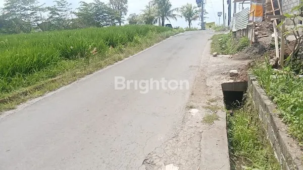 image LAHAN STRATEGIS BUWIT, TABANAN (5)