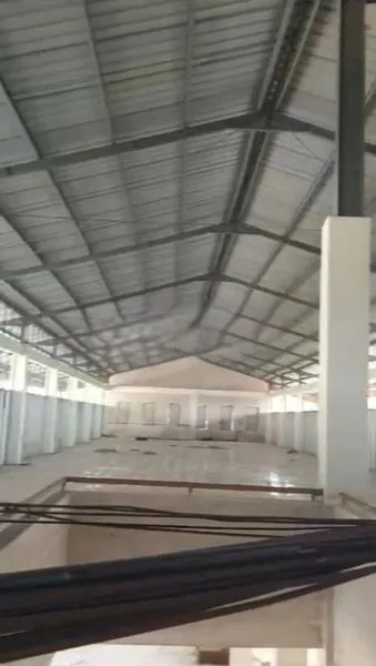 image PANDAAN PASURUAN (1)