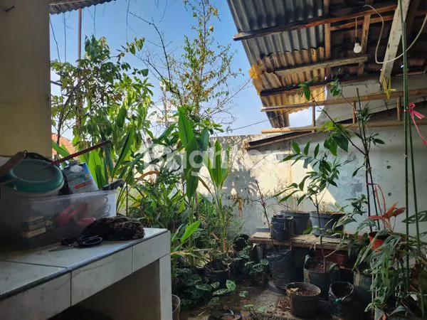 image RUMAH SARIJADI (3)