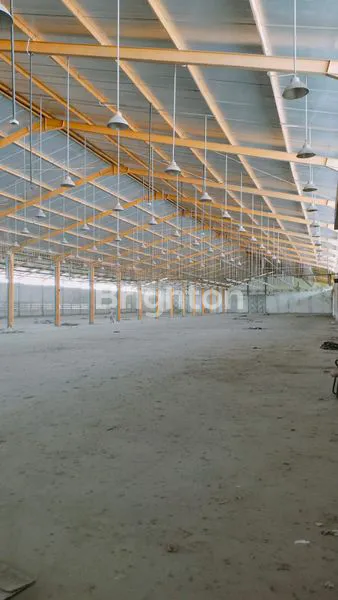 image GUDANG JEJER 3 LUAS AKSES KONTAINER 40FT BEBAS BANJIR AREA TAMBAK SAWAH SIDOARJO (4)