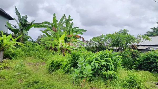 image SEWA TANAH 5 ARE KEDONGANAN (3)