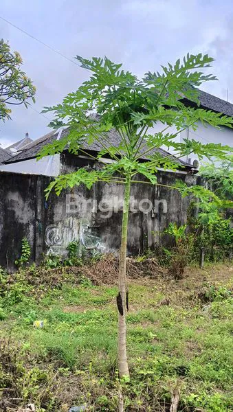 image SEWA TANAH 5 ARE KEDONGANAN (5)