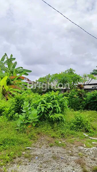 image SEWA TANAH 5 ARE KEDONGANAN (4)