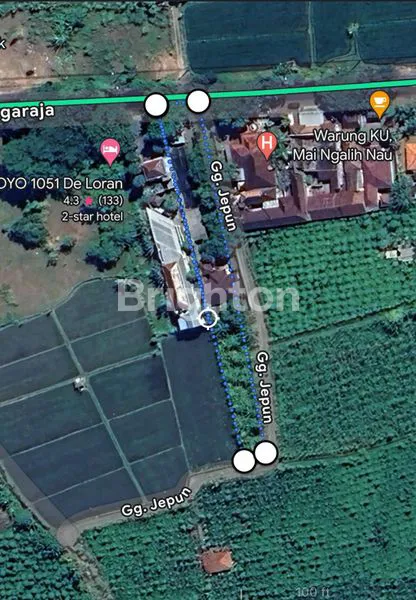 image DIJUAL TANAH STRATEGIS 16 ARE DI SERIRIT, BULELENG – PINGGIR JALAN UTAMA!  (3)