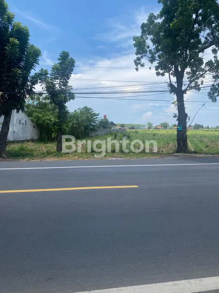 image TANAH DI RAYA PROBOLINGGO SITUBONDO, KAB PROBOLINGGO (4)