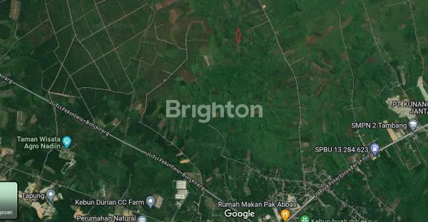 image JUAL TANAH (2)