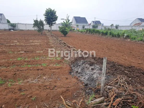 image TANAH LUAS COCOK BUAT BERKEBUN (2)