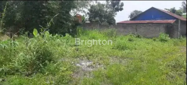 image TANAH LUAS  5 056 M2 LOKASI LINGKUNGAN 13 KECAMATAN TERJUN DEKAT DARI JALAN RAYA (1)