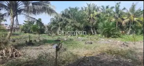 image TANAH LUAS  5 056 M2 LOKASI LINGKUNGAN 13 KECAMATAN TERJUN DEKAT DARI JALAN RAYA (4)