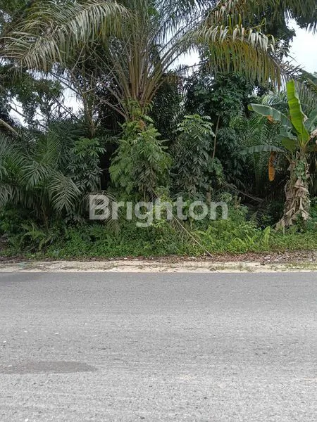 image TANAH DIPINGIR JALAN LINTAS TIMUR (1)