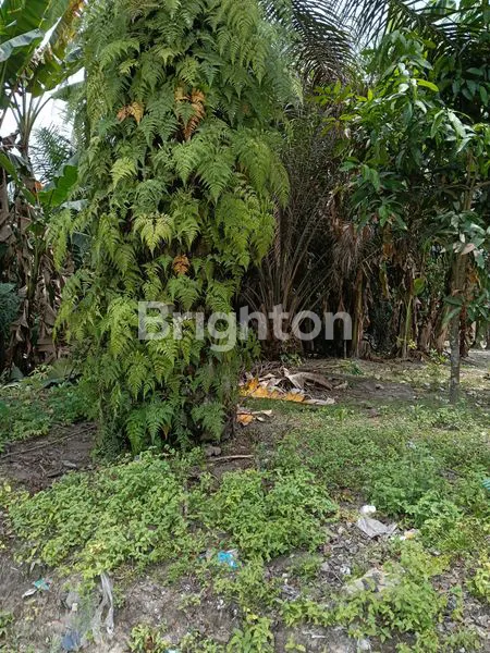 image TANAH DIPINGIR JALAN LINTAS TIMUR (2)