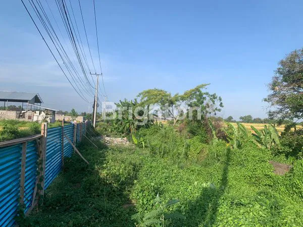 image SEWA TANAH STRATEGIS 300M² JL PANTAI KEDUNGU (2)