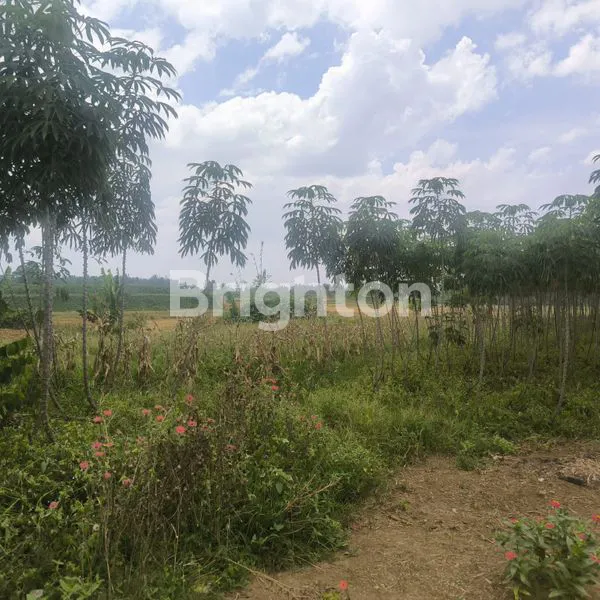 image TANAH LUAS 667M² DI PATUMBAK (2)