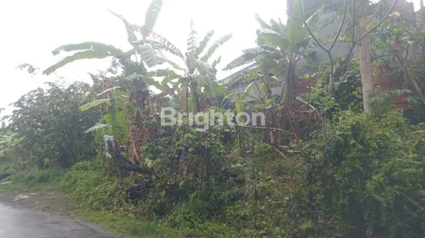 image SEWA LAHAN 150M², AKSES MUDAH BY PASS TABANAN (3)