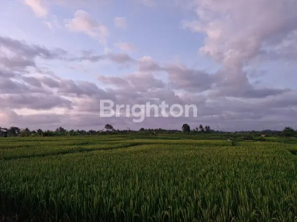 image VILLA SEWA MODERN DI BUWIT TABANAN (6)