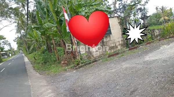 image LAHAN STRATEGIS 110M² BONGAN TABANAN (1)