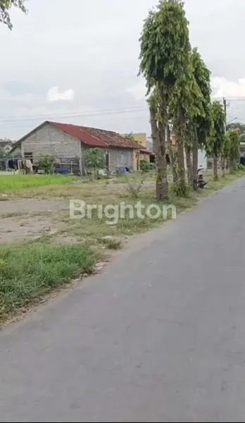 image INVESTASI TANAH KALASAN SLEMAN HARGA MENARIK (2)