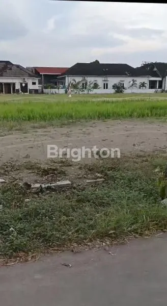 image INVESTASI TANAH KALASAN SLEMAN HARGA MENARIK (1)