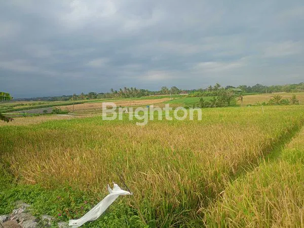 image TANAH 82 ARE SEWA 20 TAHUN LOKASI STRATEGIS (1)