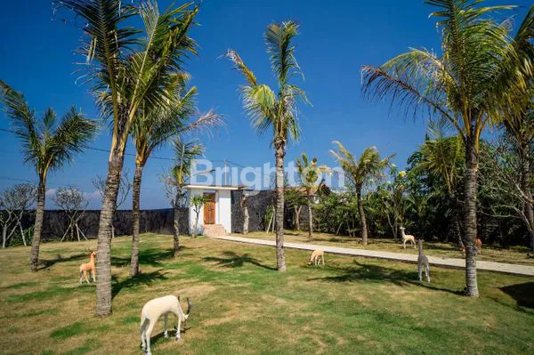 image VILLA EXCLUSIVE BEACHFRONT KUSAMBA BEACH (4)