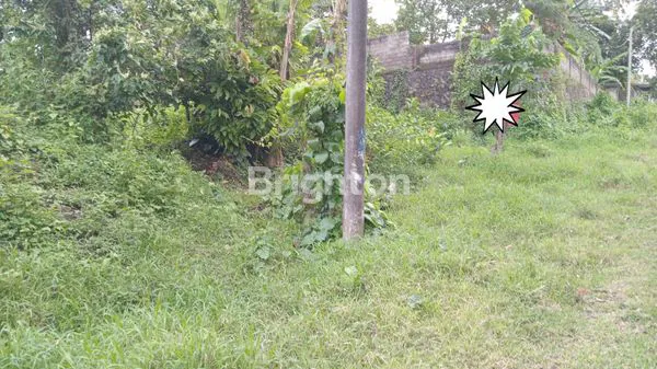 image TANAH LUAS 5 ARE DI TABANAN, DEKAT TERMINAL (4)