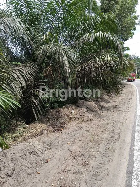 image TANAH JALAN LINTAS TIMUR (2)