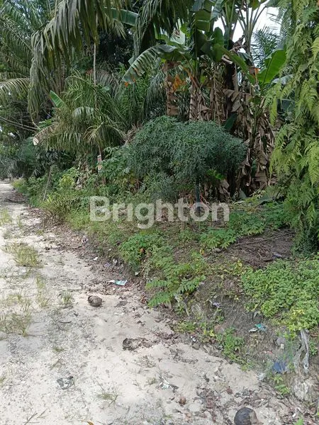 image TANAH JALAN LINTAS TIMUR (6)