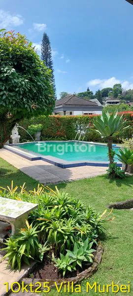 image VILLA EKSKLUSIF DENGAN KOLAM RENANG DEKAT JATIM PARK (6)