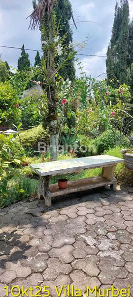 image VILLA EKSKLUSIF DENGAN KOLAM RENANG DEKAT JATIM PARK (8)