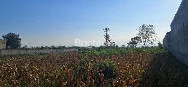 image DIJUAL TANAH JALAN RAYA MADIUN PONOROGO (3)