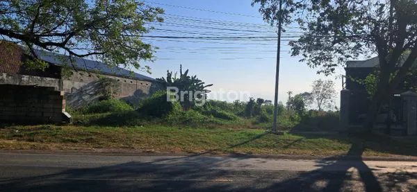 image DIJUAL TANAH JALAN RAYA MADIUN PONOROGO (1)