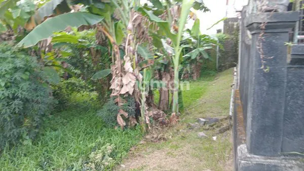 image TANAH STRATEGIS 240M² SHM DI TABANAN (3)