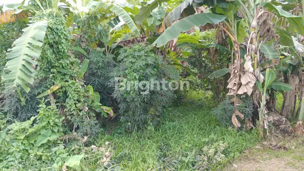 image TANAH STRATEGIS 240M² SHM DI TABANAN (2)