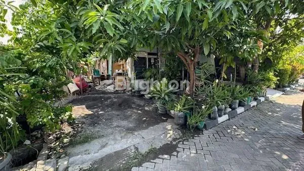 image DIJUAL TANAH LOKASI BAGUS SEMARANG TIMUR (3)