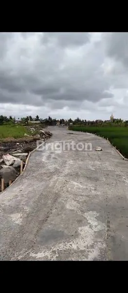 image TANAH INVESTASI STRATEGIS DI PANTAI SESEH – HADAP UTARA (3)